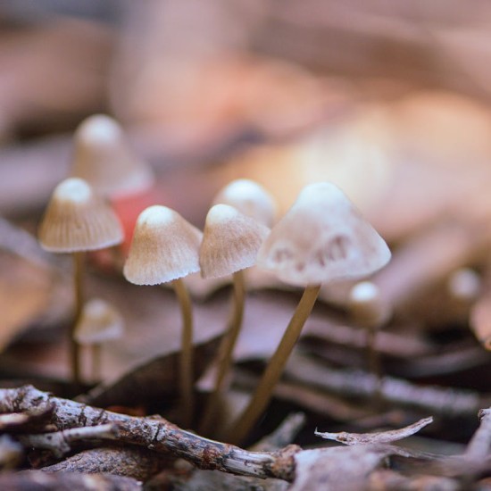 غسالة سامسونج 9 كيلو